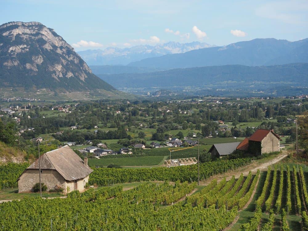 Mountains and vineyards of the Savoie wine region