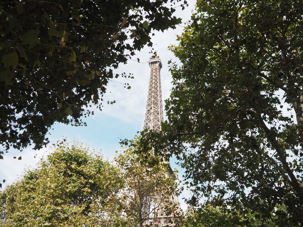 Eiffel Tower through the trees