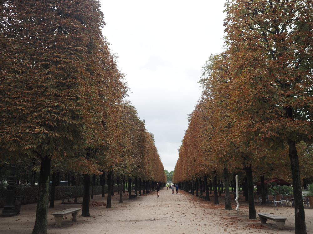 Tuileries Garden in the fall