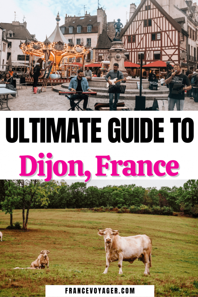 Ultimate Guide to Dijon France