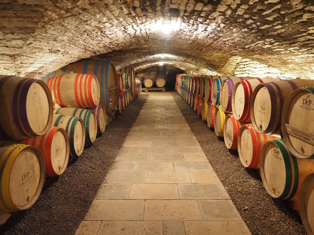 Wine Cellar during a Burgundy wine tour