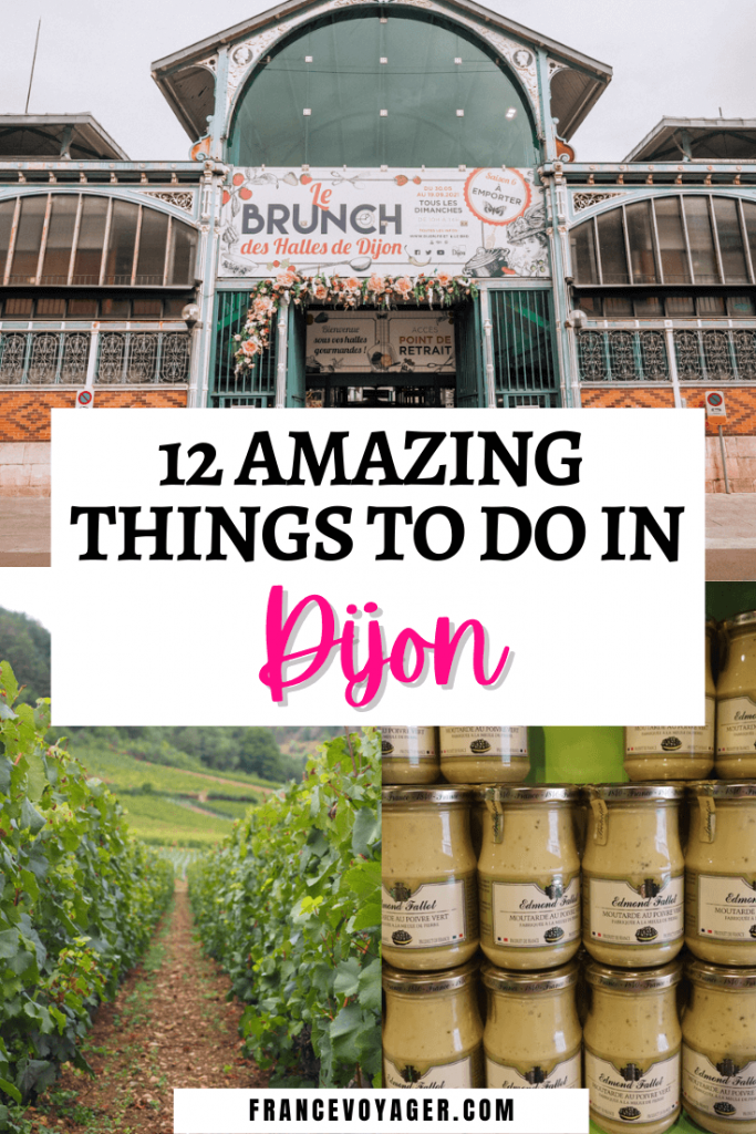 12 Amazing Things to do in Dijon