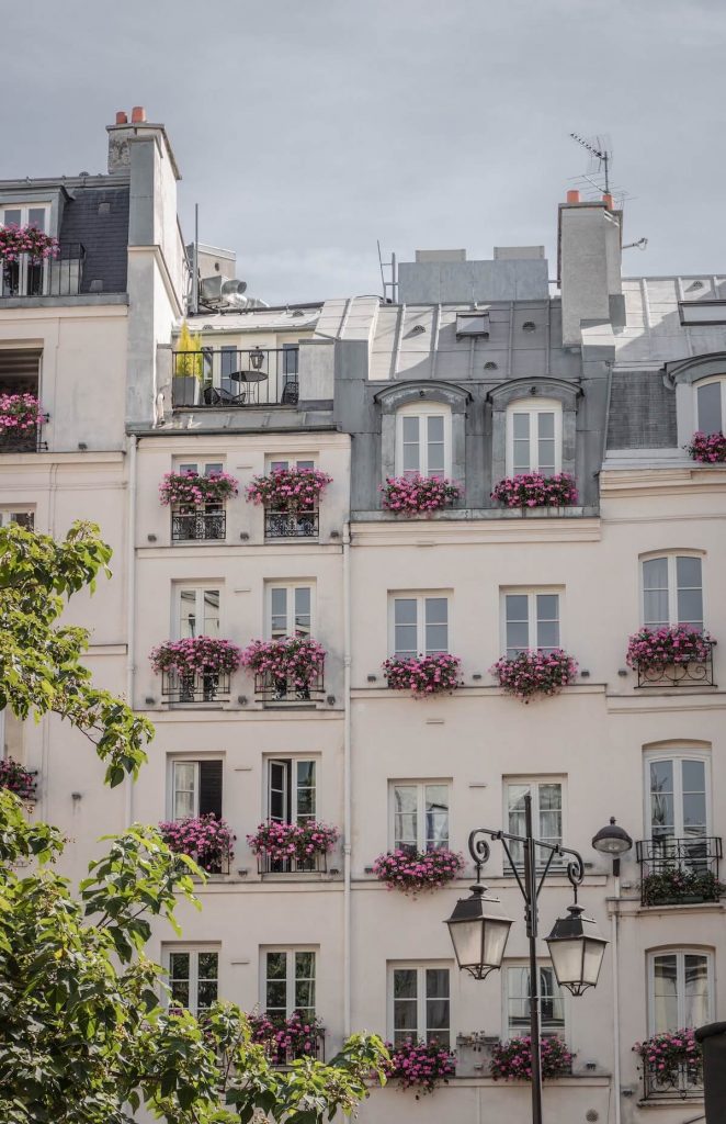 Flowers on windowsills in Paris
