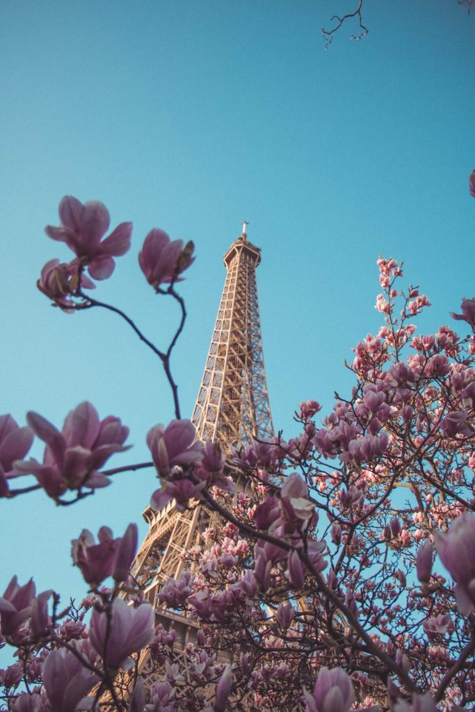 Paris in the Spring - Flowers in front of the Eiffel Tower