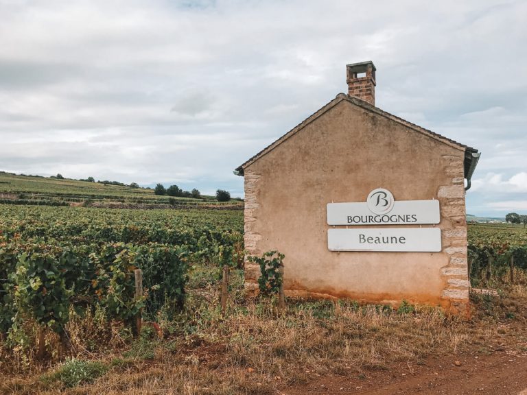 Best Things to do in Beaune France