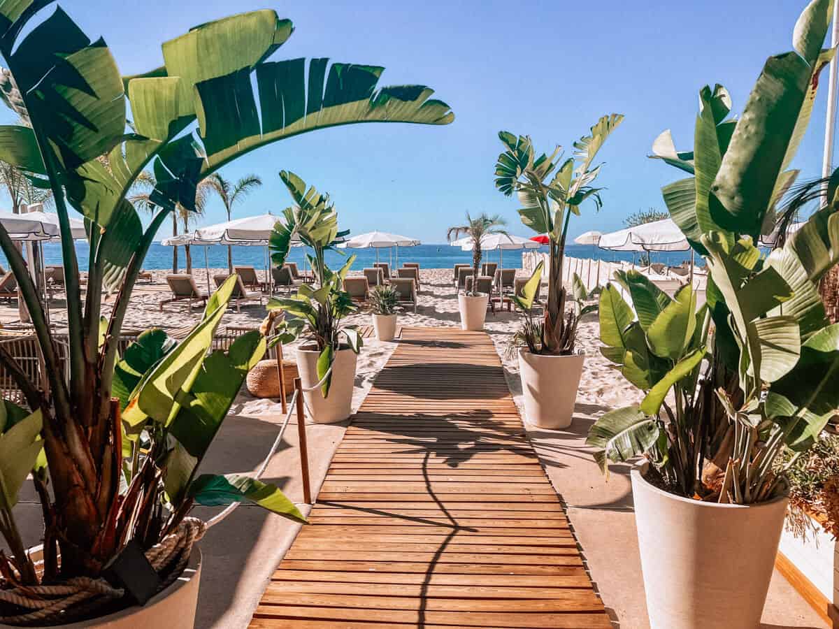 3 Days in Cannes Itinerary Best Things to do in a Weekend in Cannes