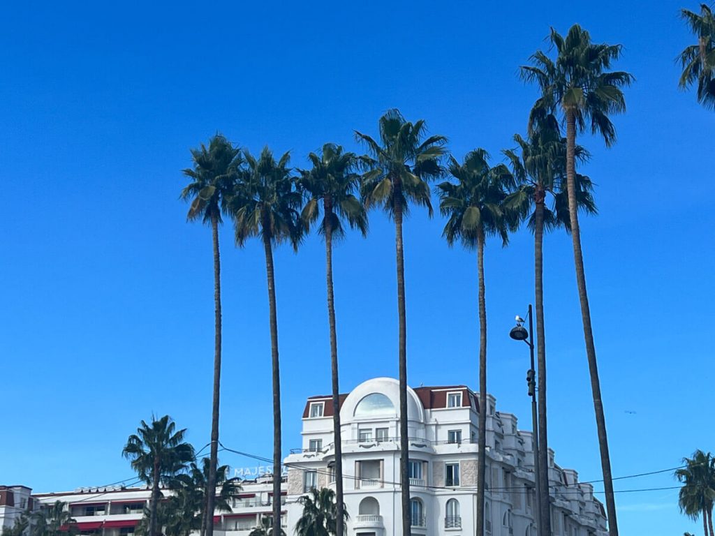 Building with palm trees in Cannes