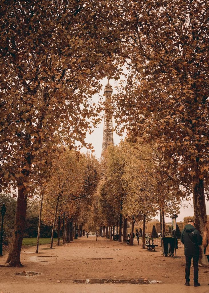Fall in Paris with Eiffel Tower in background