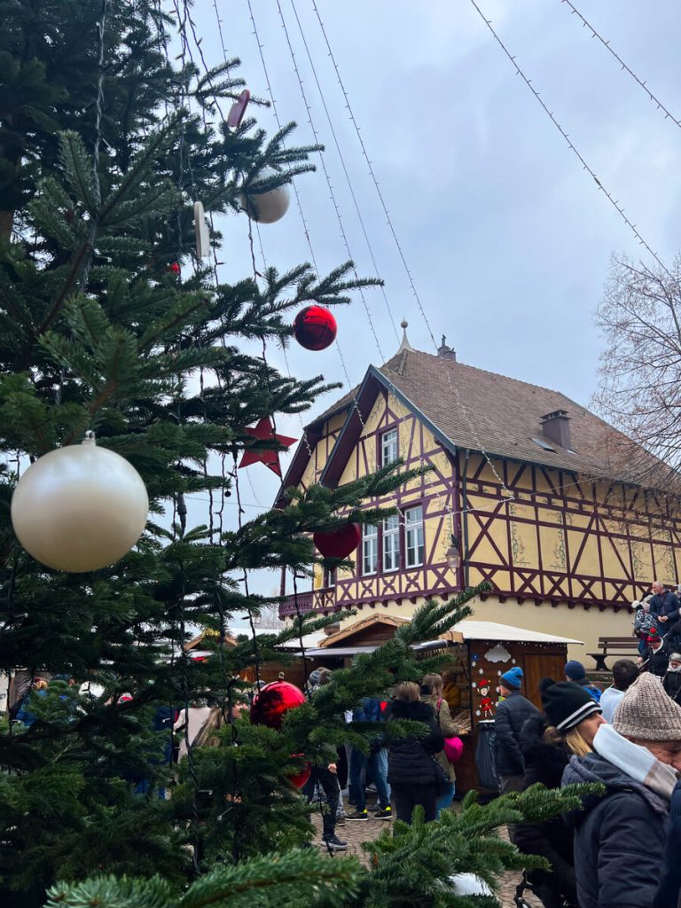 Riquewihr by the tree