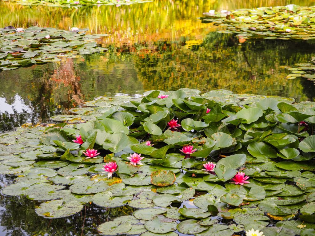Monet's Gardens in Giverny 16
