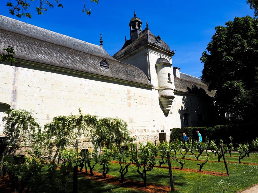 Chateau de Chenonceau vineyard