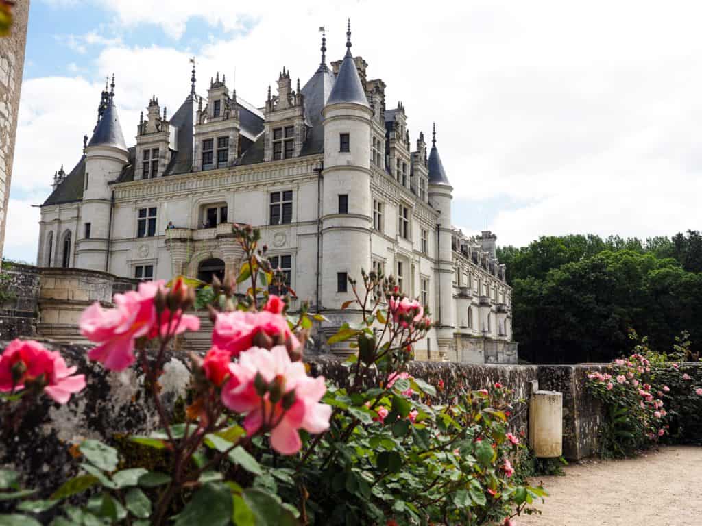 Chateau de Chenonceau with pink flowers in the background