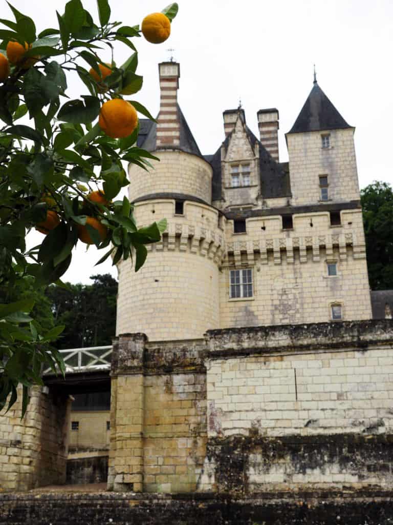 Orange tree at Chateau d'Usse