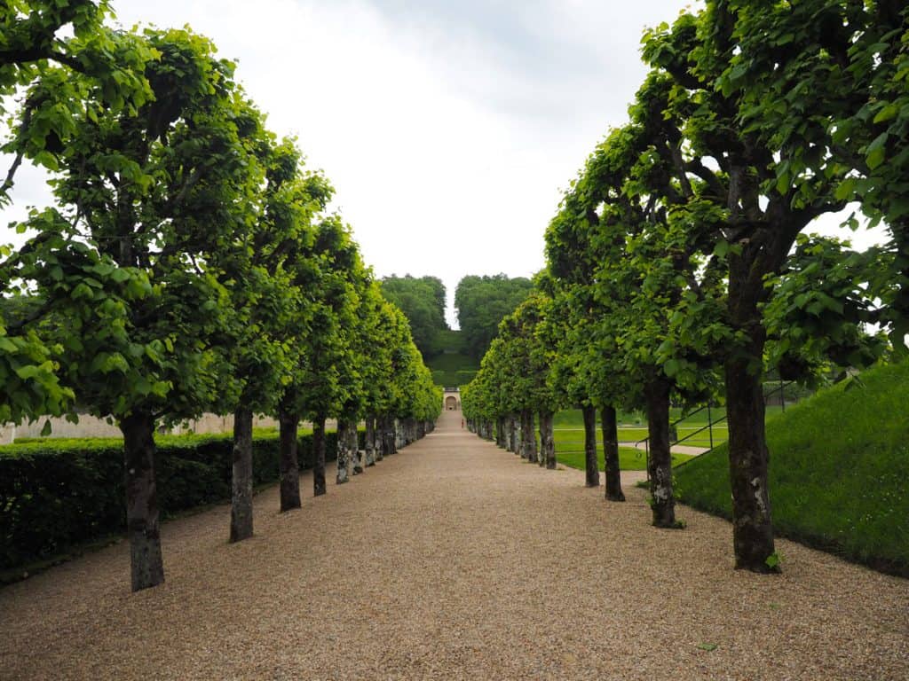 Tree path 2 at Chateau de Villandry