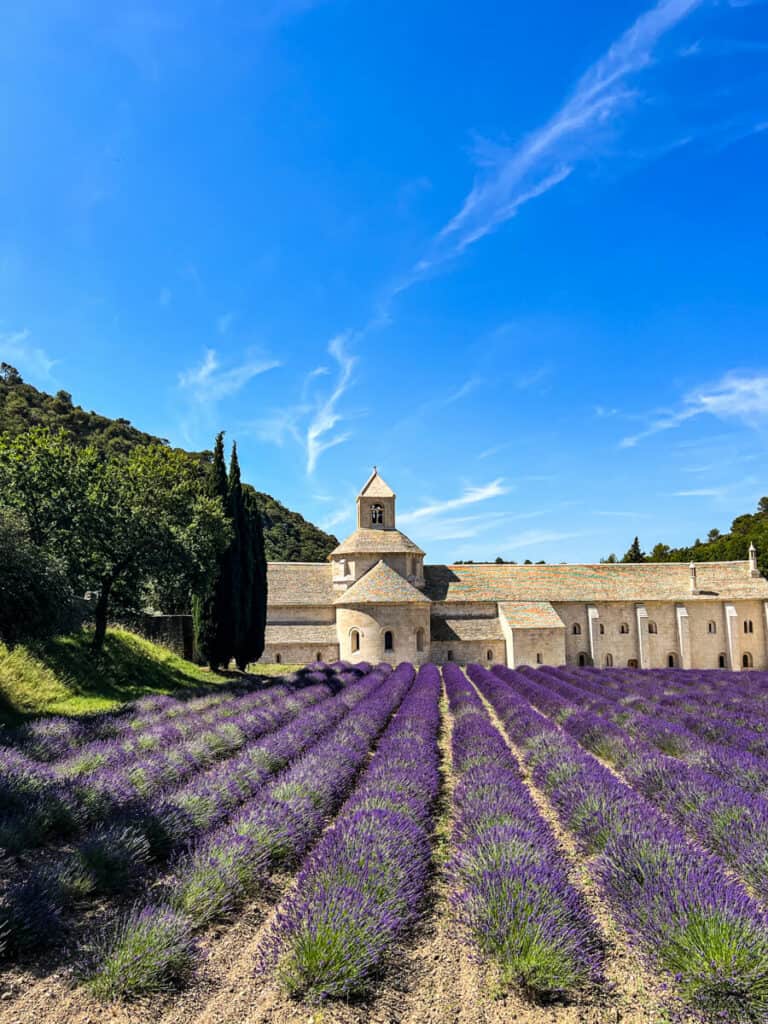 Senanque Abbey with lavender fields