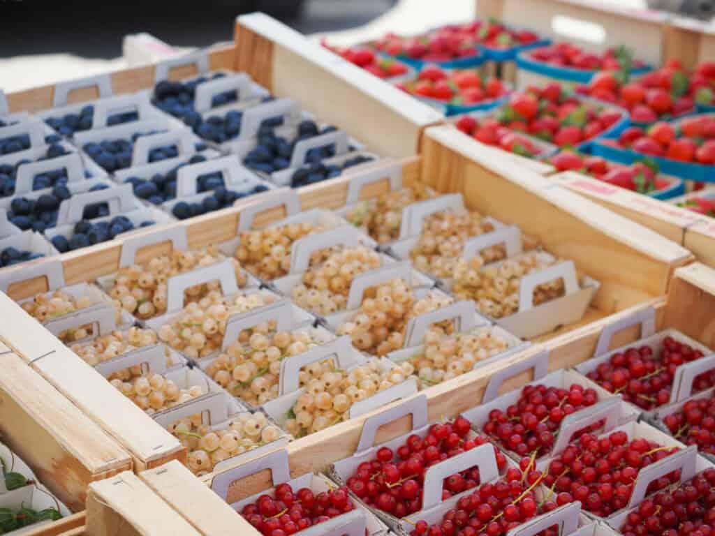 Berries at the market in Gordes