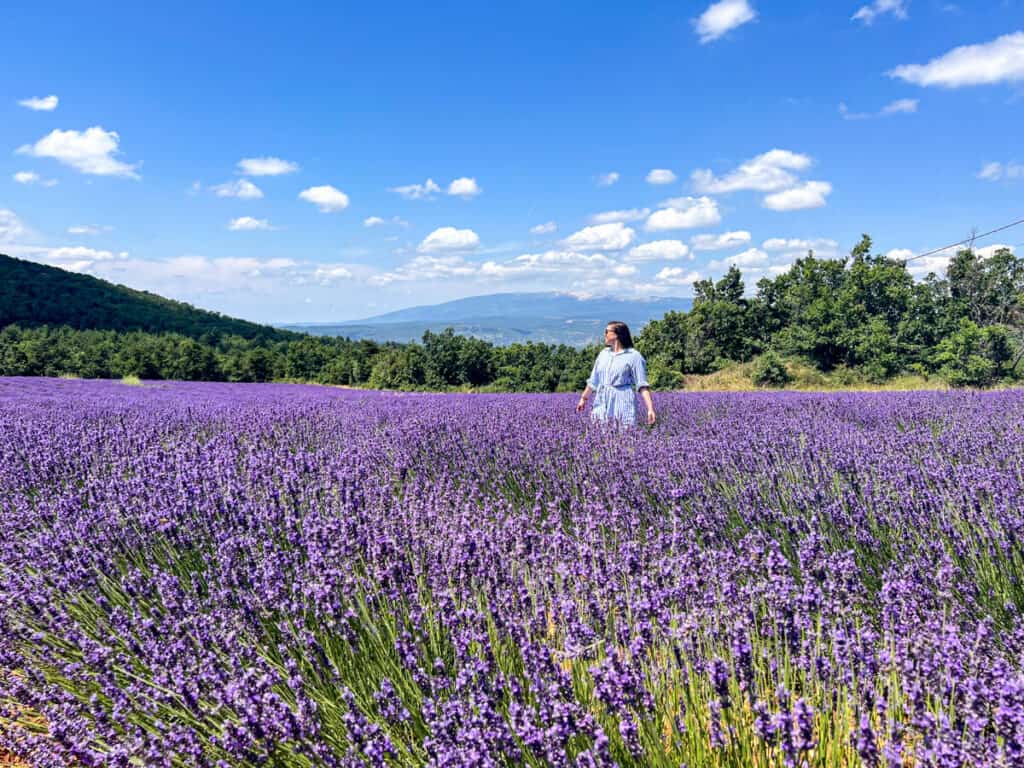 Kat in a lavender field near Sault with a mountain in the background