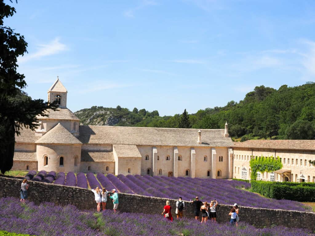 Senaque Abbey during lavender season