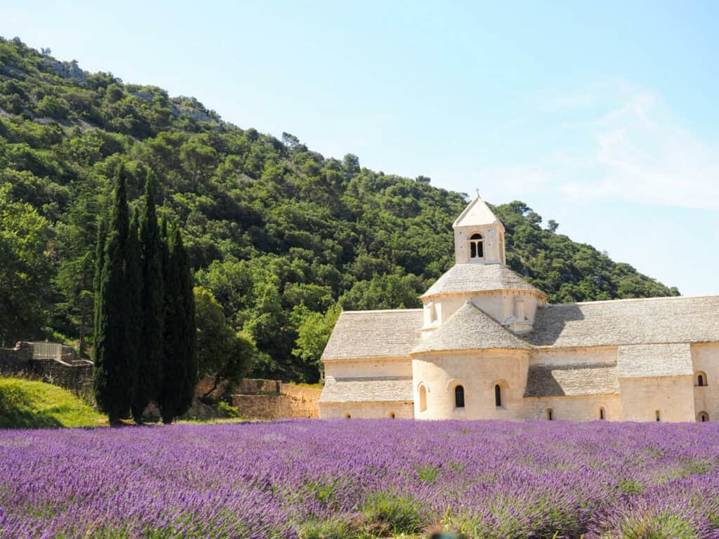 Senaque Abbey with lavender field in front