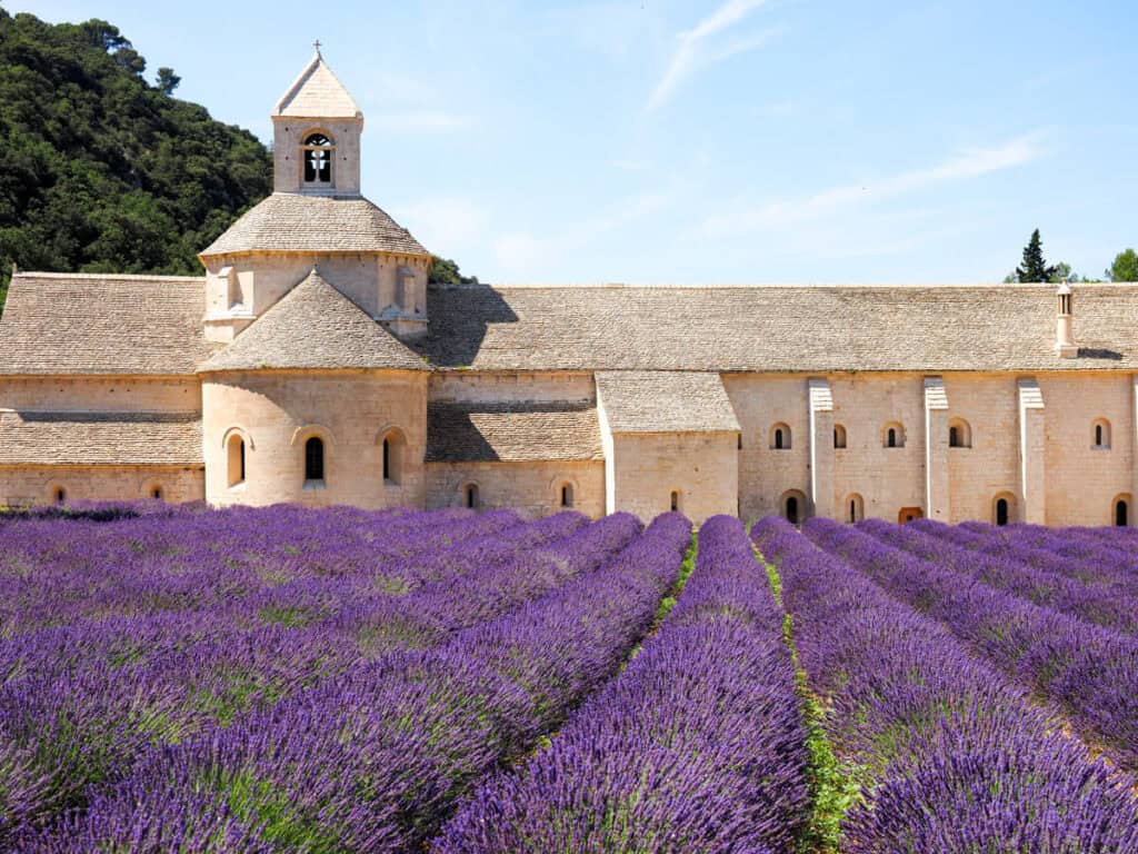 Senaque Abbey with lavender field in front