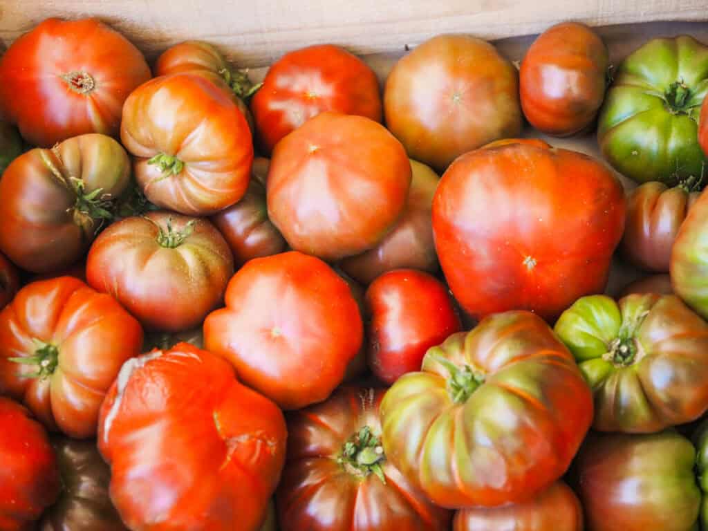 fresh tomatoes at the St Tropez Market