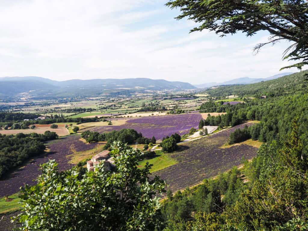 Belevedere de Saint Jean 4