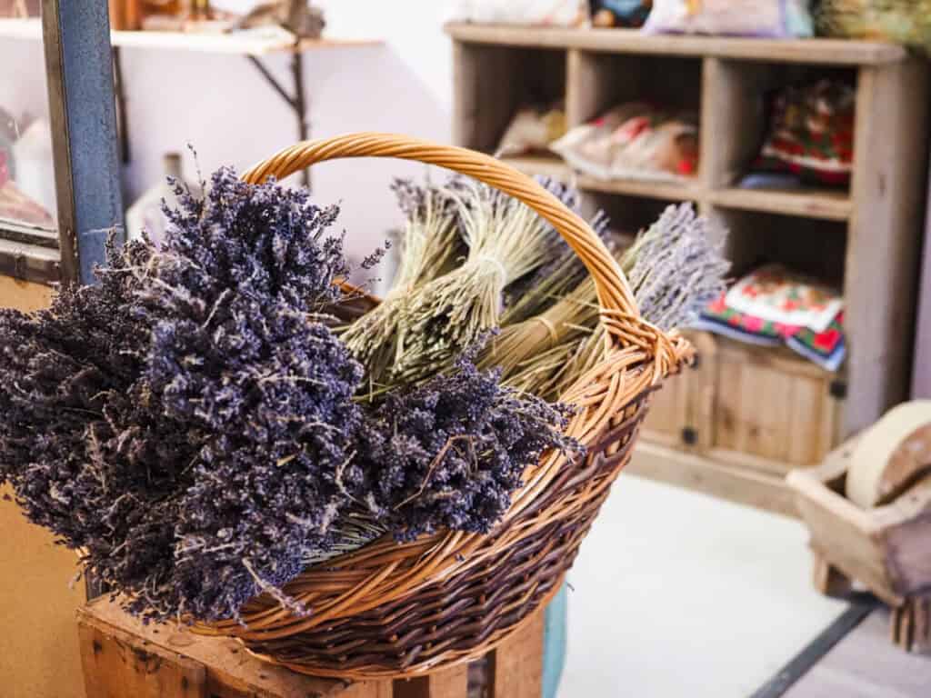 lavender bushels in a basket at Le Loge aux Lavandes