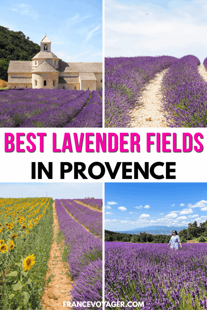 Searching for the best lavender fields in Provence? After visiting and exploring lavender fields in Sault, the Luberon, Valensole, and Drôme, I’m here to share the best Provence lavender fields, tips for visiting the lavender fields of Provence, and more! Click here for your ultimate guide. Provence landscape | Valensole France lavender fields | Valensole lavender | Valensole Plateau lavender fields | Sault France lavender | Luberon Provence lavender | Provence lavender fields France