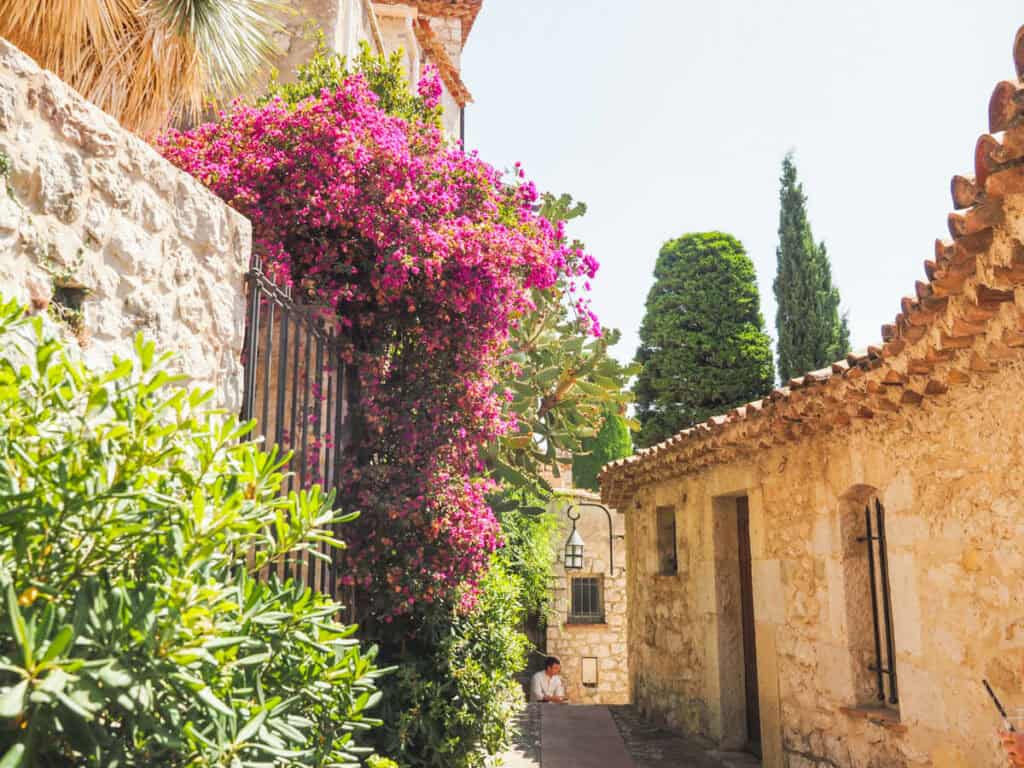 Pink flowers and green bushes along the street in Eze