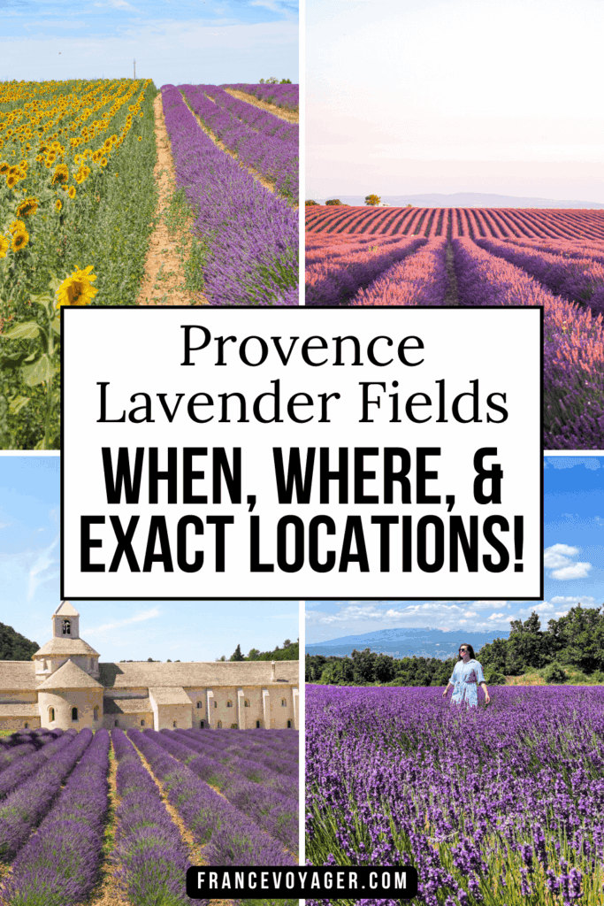 This is the ultimate guide to Provence lavender fields in France. Find the best lavender fields in Provence, including Valensole Plateau lavender fields, Gordes Provence lavender fields, Sault lavender, and the Luberon Provence lavender fields—with exact GPS coordinates, when to go, and other tips!