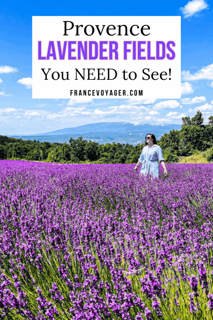 This is the ultimate guide to Provence lavender fields in France. Find the best lavender fields in Provence, including Valensole Plateau lavender fields, Gordes Provence lavender fields, Sault lavender, and the Luberon Provence lavender fields—with exact GPS coordinates, when to go, and other tips!