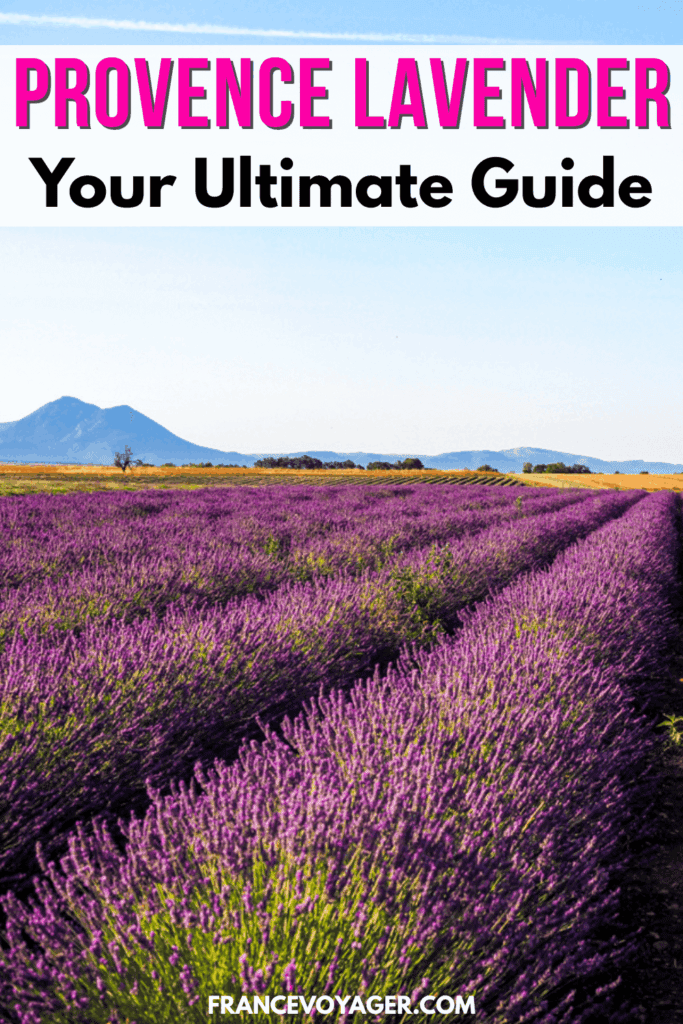 Searching for the best lavender fields in Provence? After visiting and exploring lavender fields in Sault, the Luberon, Valensole, and Drôme, I’m here to share the best Provence lavender fields, tips for visiting the lavender fields of Provence, and more! Click here for your ultimate guide. Provence landscape | Valensole France lavender fields | Valensole lavender | Valensole Plateau lavender fields | Sault France lavender | Luberon Provence lavender | Provence lavender fields France