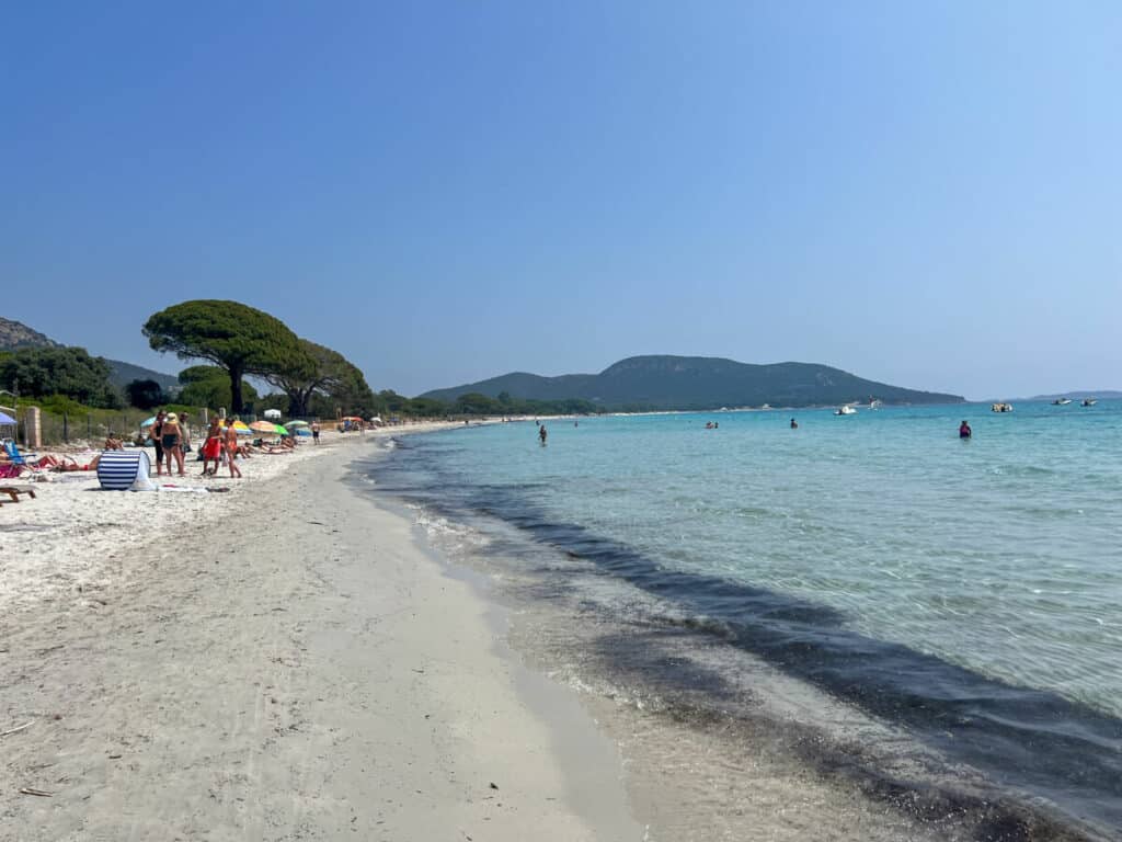 Plage de Palombaggia in Corsica