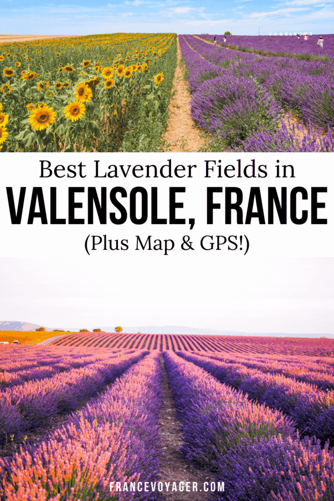 Explore the breathtaking Valensole Plateau lavender fields in Provence, France! 🌿 This complete guide gives you GPS locations of the best lavender fields in Valensole, a handy map, a 1-day itinerary, tips on what to wear, and tours. Discover Valensole village, snap iconic Valensole France photography, and experience lavender Provence France at its peak.