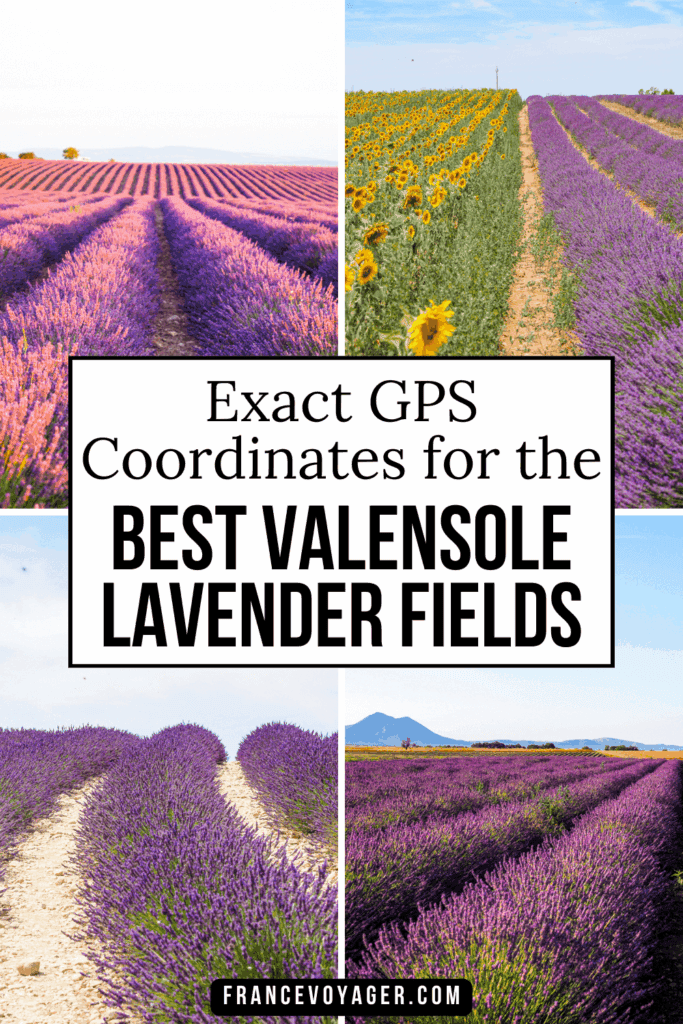Explore the breathtaking Valensole Plateau lavender fields in Provence, France! 🌿 This complete guide gives you GPS locations of the best lavender fields in Valensole, a handy map, a 1-day itinerary, tips on what to wear, and tours. Discover Valensole village, snap iconic Valensole France photography, and experience lavender Provence France at its peak.