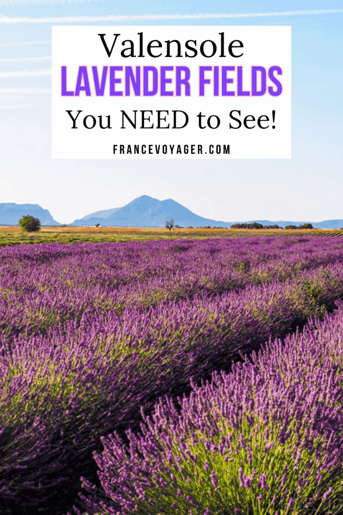 Planning a trip to the Valensole lavender fields? 🌸 My ultimate guide to Valensole France includes the best lavender fields with GPS coordinates, a map, a 1-day itinerary, a Valensole outfit idea, tours, and insider tips on when to visit. Capture stunning Valensole France photography and explore the charming Valensole village and Valensole Plateau like a pro!