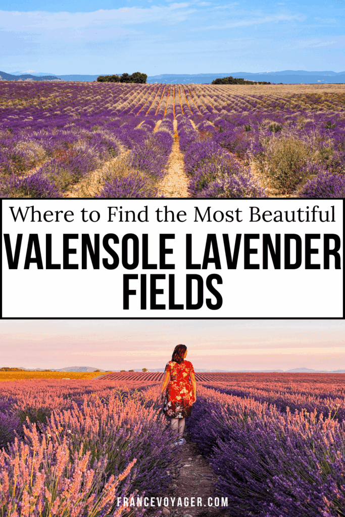 Planning a trip to the Valensole lavender fields? 🌸 My ultimate guide to Valensole France includes the best lavender fields with GPS coordinates, a map, a 1-day itinerary, a Valensole outfit idea, tours, and insider tips on when to visit. Capture stunning Valensole France photography and explore the charming Valensole village and Valensole Plateau like a pro!