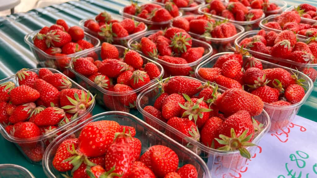 Strawberries at the market in Cahors